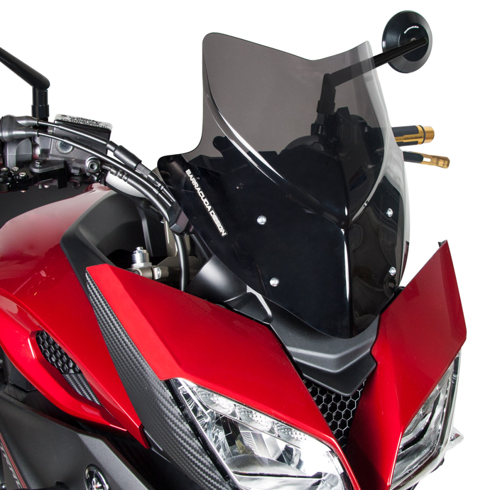 Parbriz sport AEROSPORT