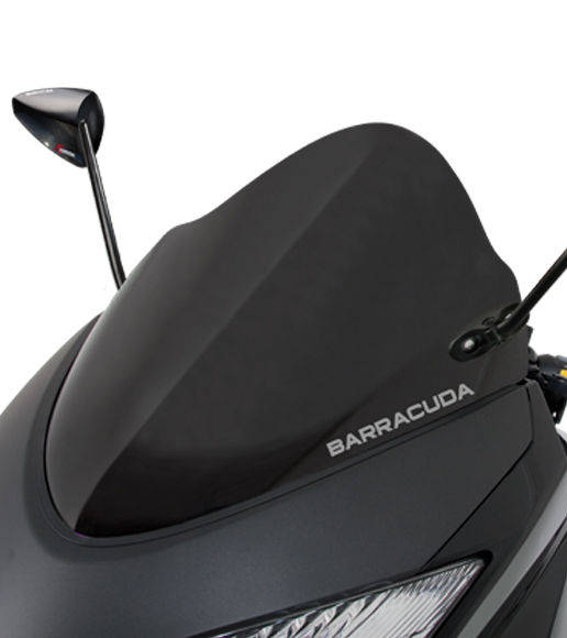 Parbriz sport AEROSPORT