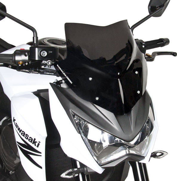Parbriz sport AEROSPORT