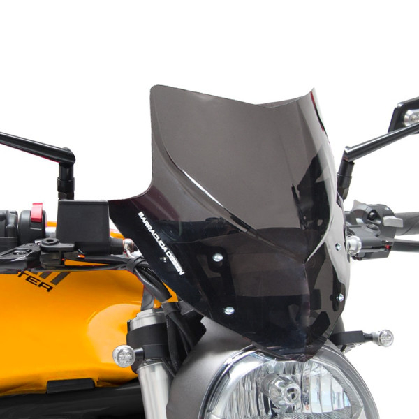Parbriz sport AEROSPORT