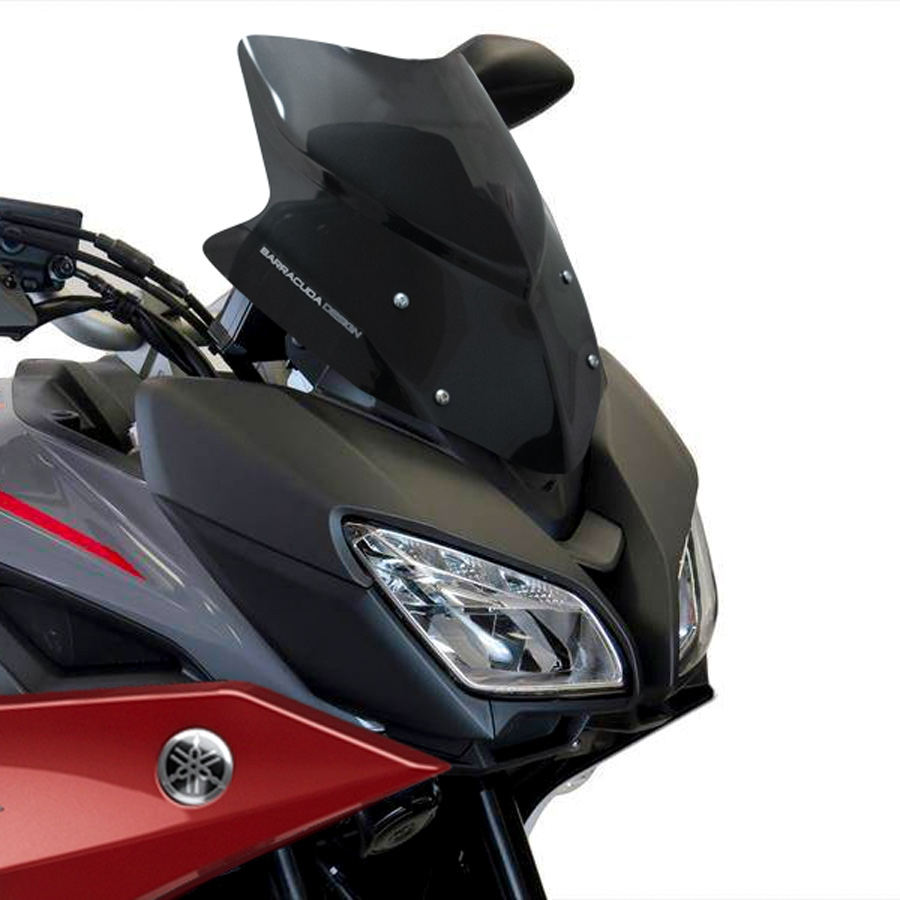 Parbriz sport AEROSPORT
