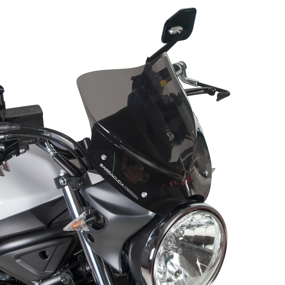 Parbriz sport AEROSPORT