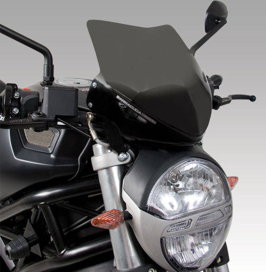 Parbriz sport AEROSPORT