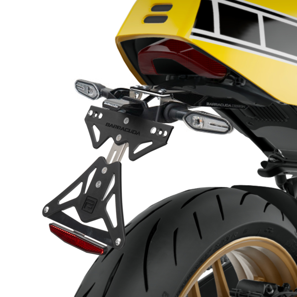 INDICATORI ORIGINALI PENTRU PLĂCUȚA DE ÎNMATRICULARE